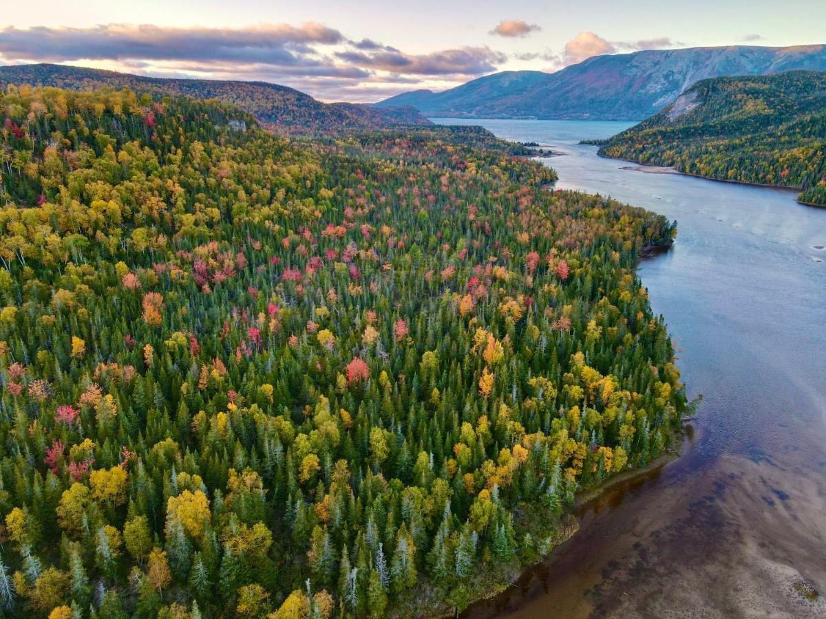 Bonne Bay Cottages Bonne Bay Pond Εξωτερικό φωτογραφία