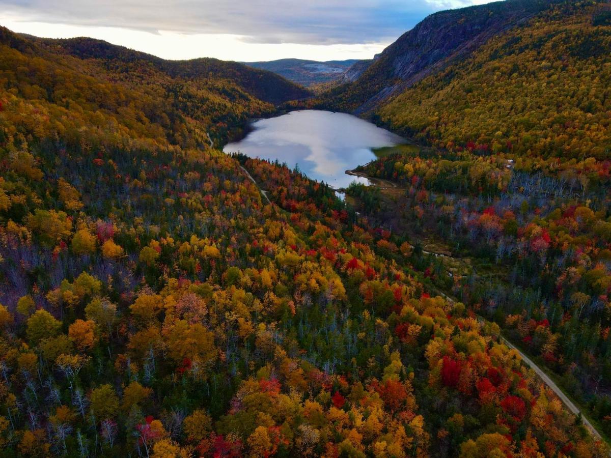 Bonne Bay Cottages Bonne Bay Pond Εξωτερικό φωτογραφία